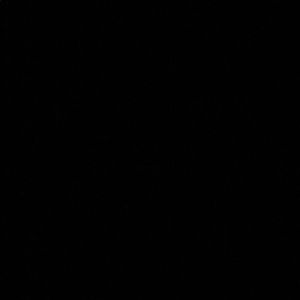 Meet your Posher, Rudy